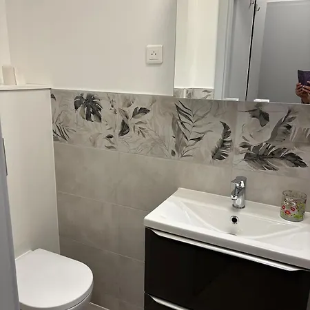 Le Nid De Louise, Avec Terrasse ミュルーズ