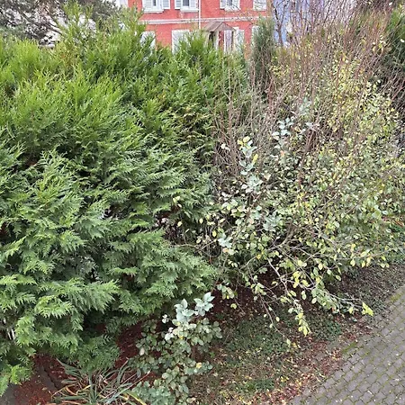 Le Nid De Louise, Avec Terrasse