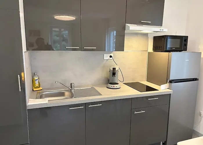 Appartement Le Nid De Louise, Avec Terrasse Mulhouse
